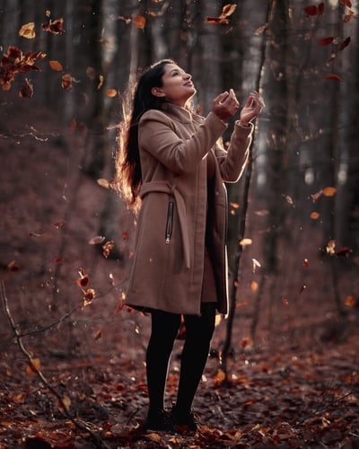 Harpreet-skog